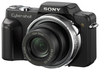 Sony H3